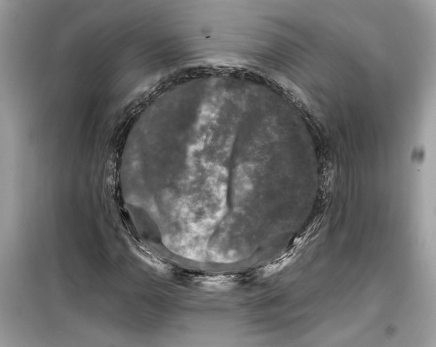 X0000099291110200805231314