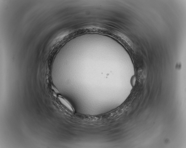 X0000099291111200805231315