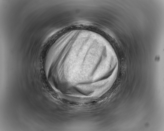 X0000099291112200805231315