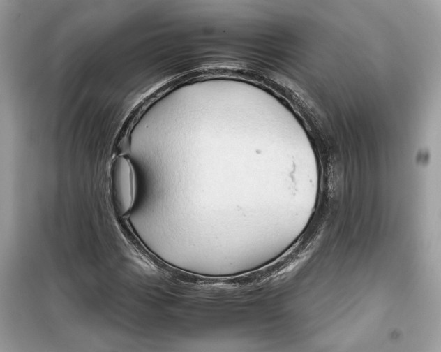 X0000099291113200805231315