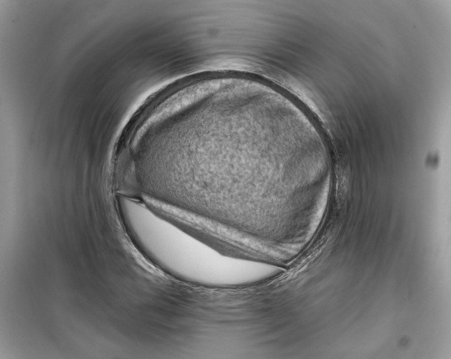 X0000099291116200805231315