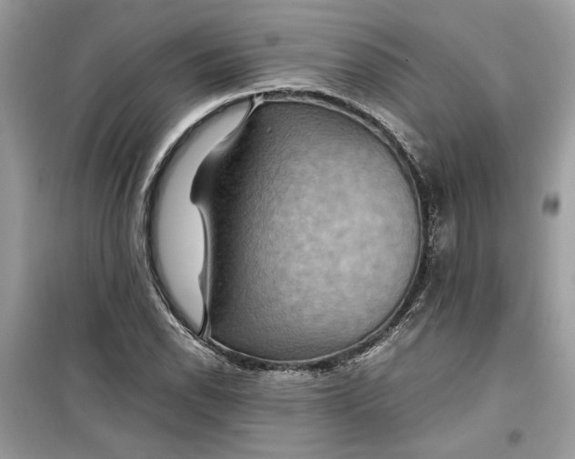 X0000099291118200805231315