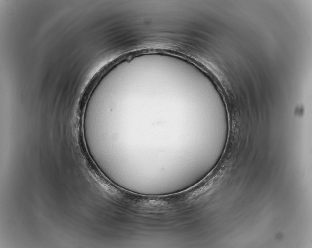 X0000099291119200805231315