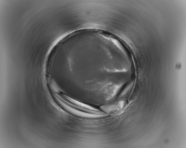 X0000099291120200805231315