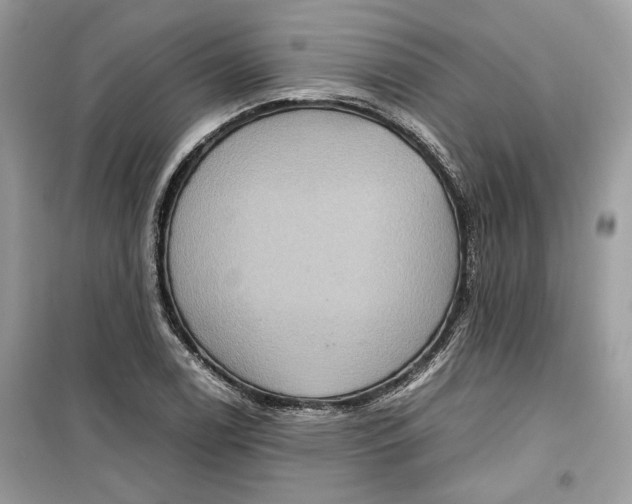 X0000099291122200805231315