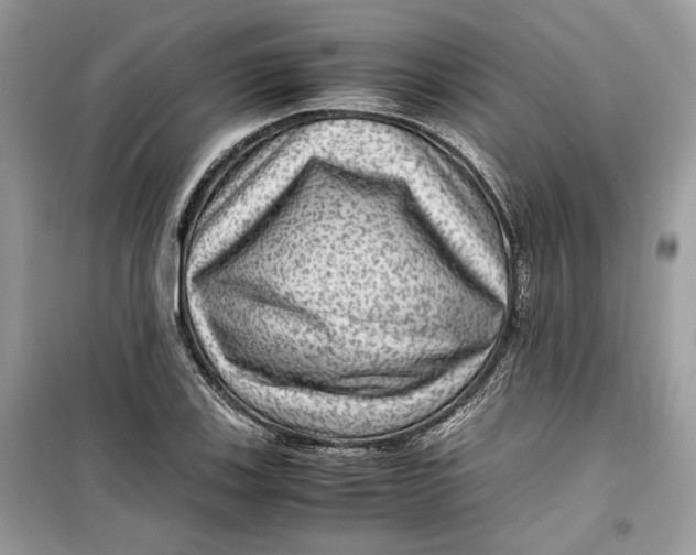 X0000099291123200805231315