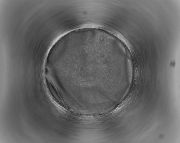 X0000099291124200805231315