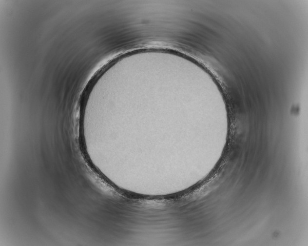 X0000099291126200805231315