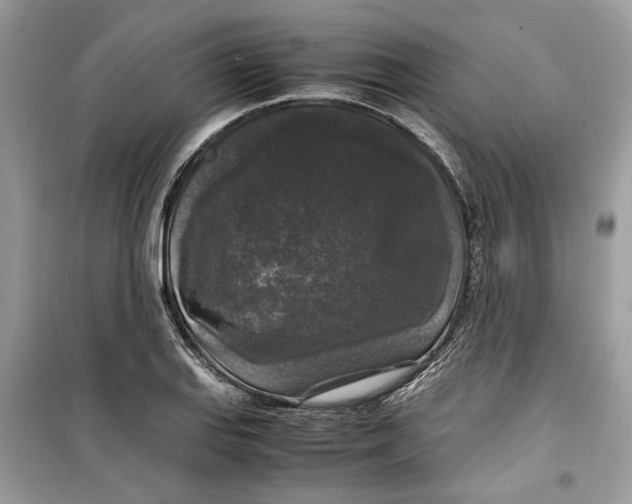 X0000099291127200805231315