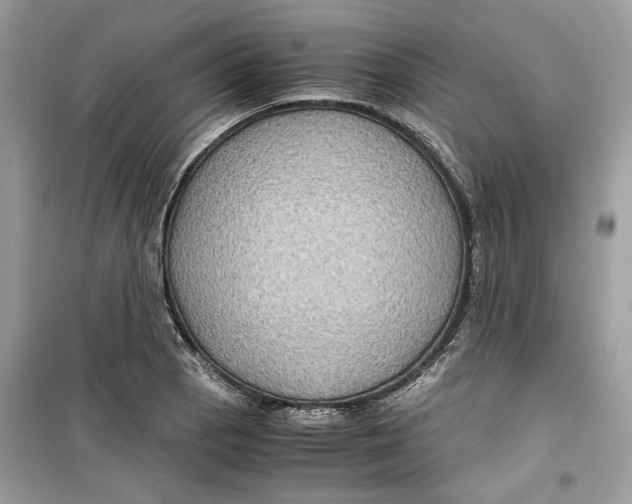 X0000099291129200805231315