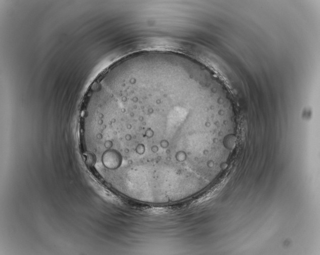 X0000099291130200805231315