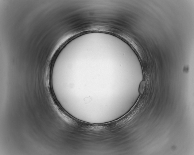 X0000099291131200805231315