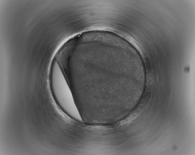 X0000099291132200805231315