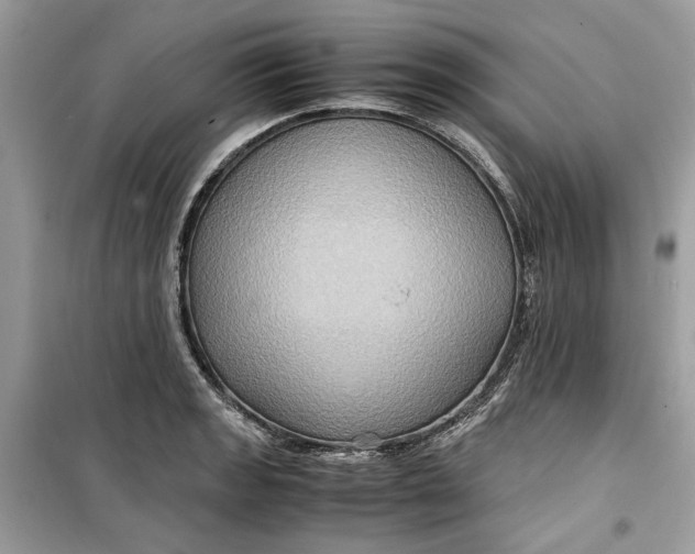 X0000099291133200805231315