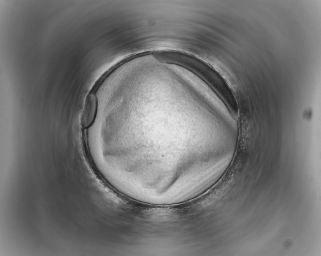 X0000099291134200805231315