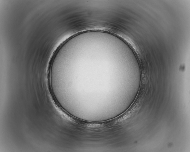 X0000099291135200805231315