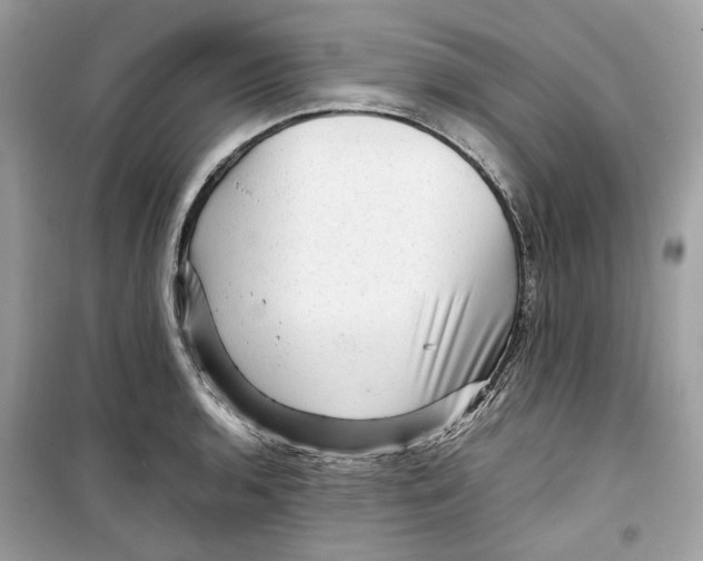 X0000099291136200805231315