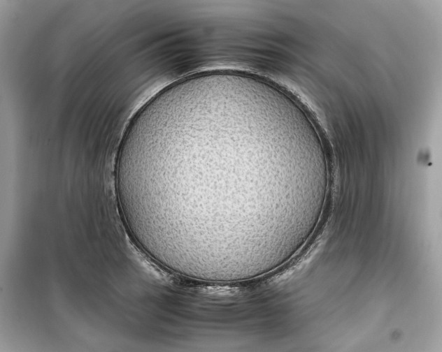 X0000099291137200805231315