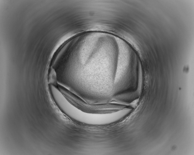 X0000099291138200805231315