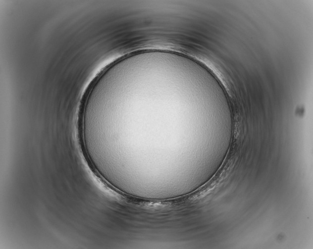 X0000099291139200805231315