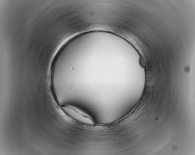 X0000099291140200805231315