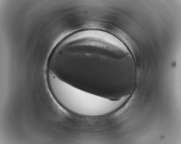 X0000099291141200805231315