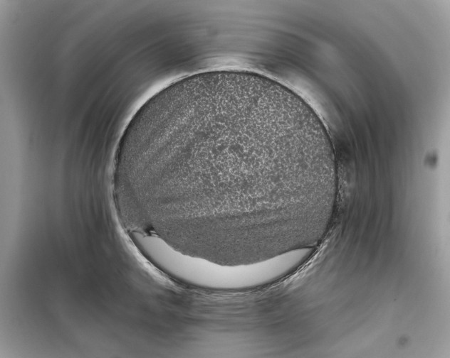 X0000099291142200805231315