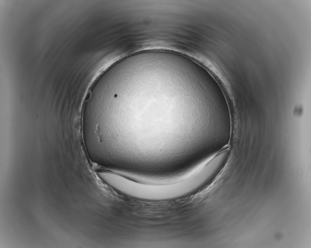 X0000099291145200805231315