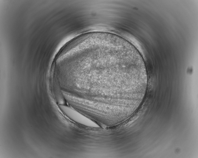 X0000099291146200805231315