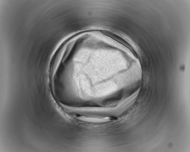 X0000099291148200805231315