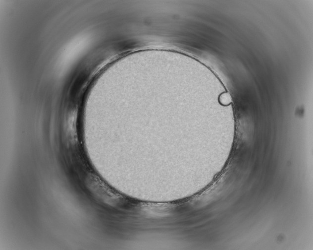 X0000099291150200805231315