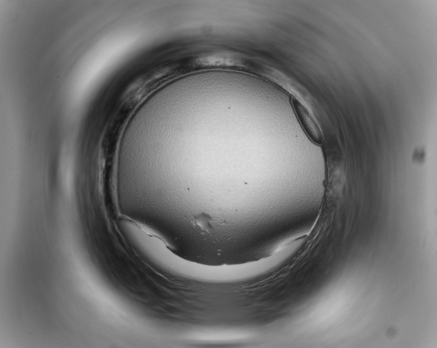 X0000099291151200805231315