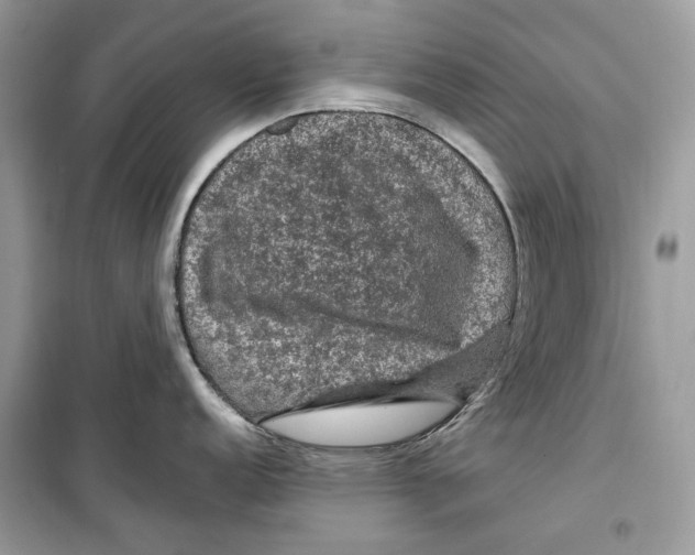 X0000099291152200805231315