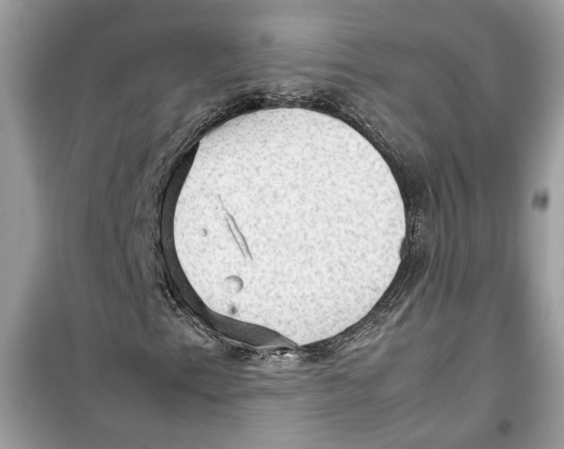 X0000099291153200805231314