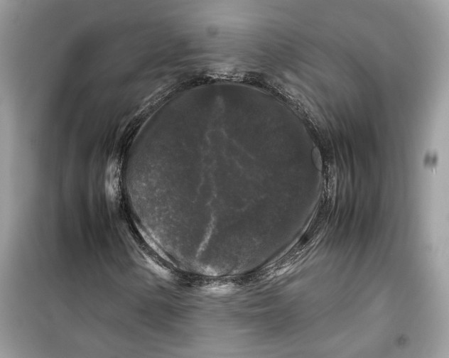 X0000099291154200805231314