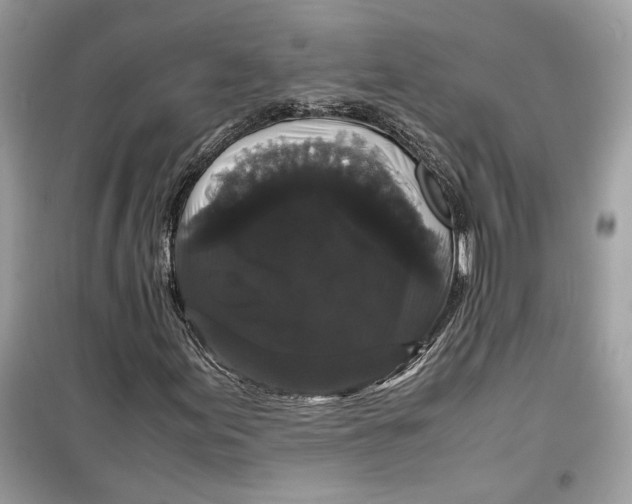 X0000099291155200805231314