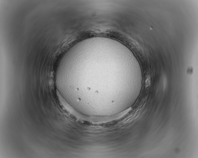 X0000099291156200805231314