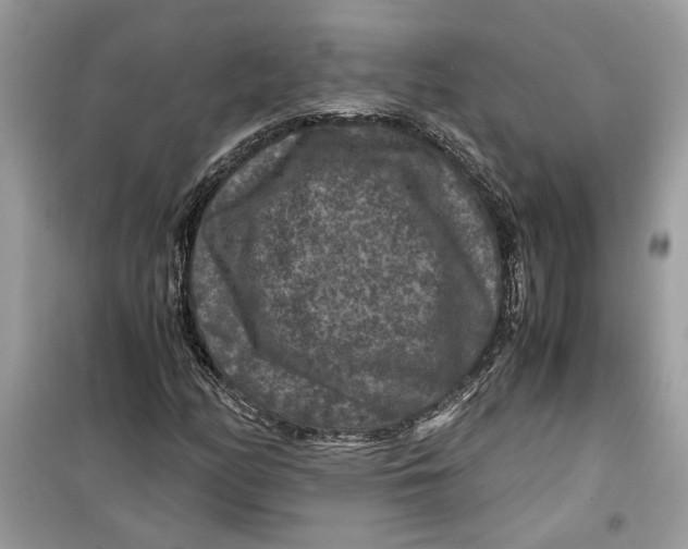 X0000099291158200805231314