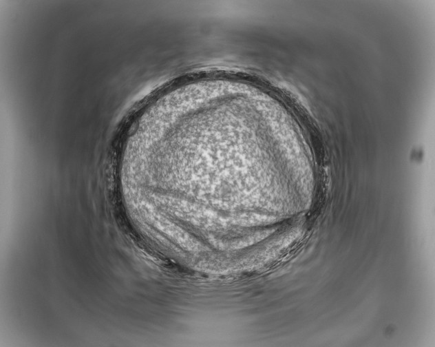 X0000099291159200805231314