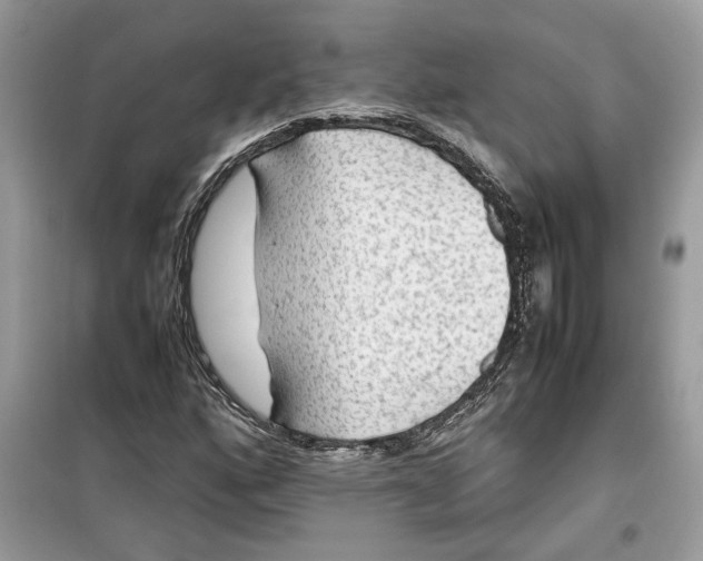 X0000099291160200805231314