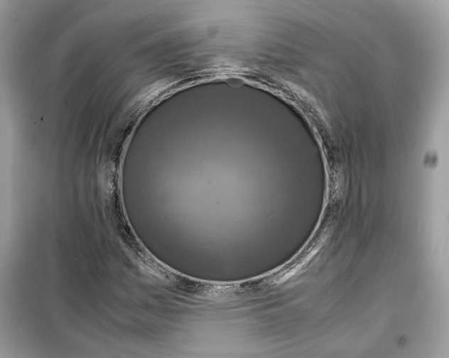 X0000099291161200805231314