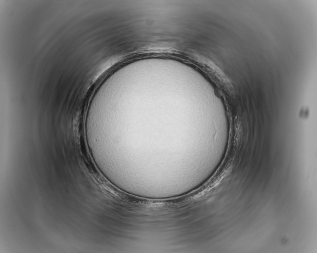 X0000099291162200805231314