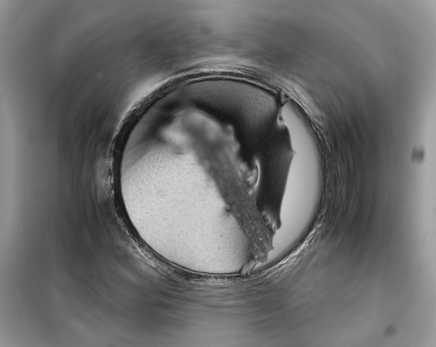 X0000099291164200805231314