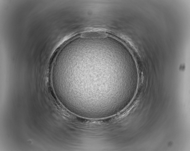 X0000099291165200805231314