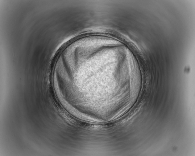 X0000099291166200805231314