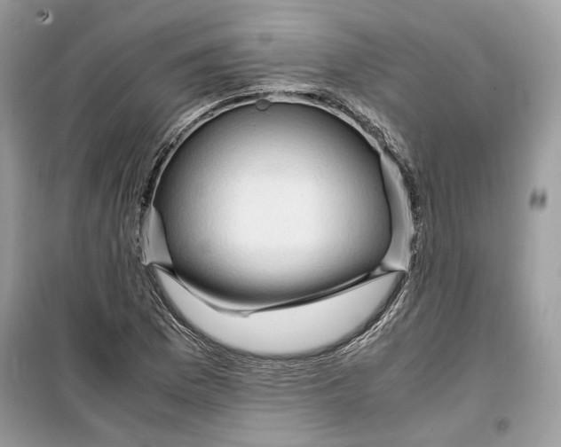 X0000099291169200805231314