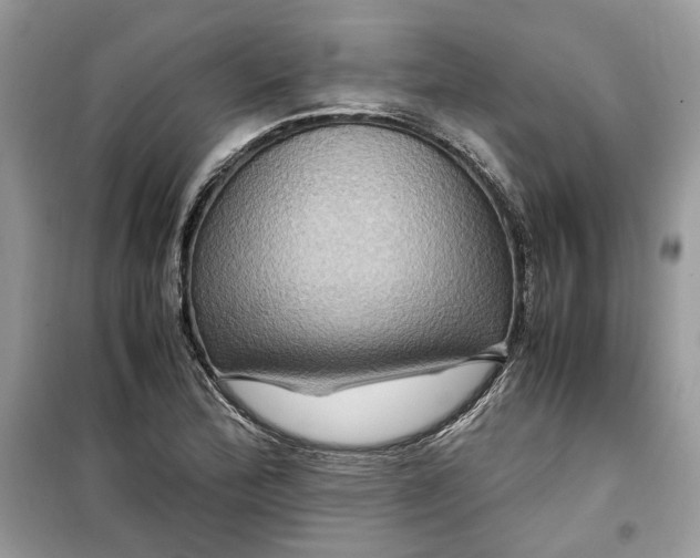 X0000099291172200805231314