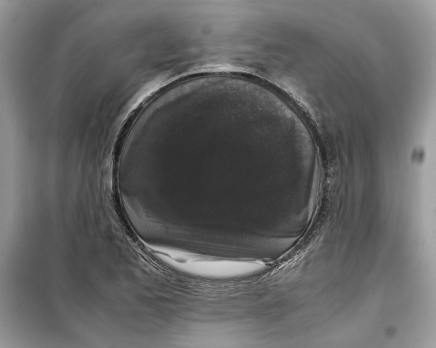 X0000099291173200805231314