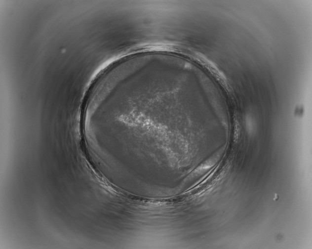 X0000099291174200805231314