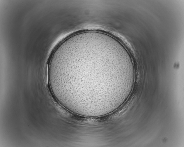 X0000099291175200805231314